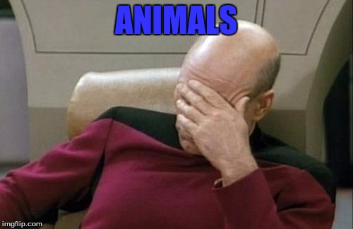 Captain Picard Facepalm Meme | ANIMALS | image tagged in memes,captain picard facepalm | made w/ Imgflip meme maker