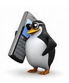 penguin phone Blank Meme Template