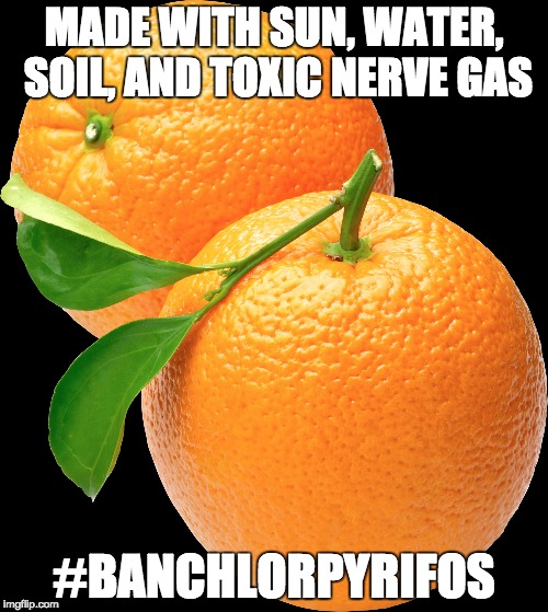 MADE WITH SUN, WATER, SOIL, AND TOXIC NERVE GAS; #BANCHLORPYRIFOS | image tagged in scott pruitt | made w/ Imgflip meme maker
