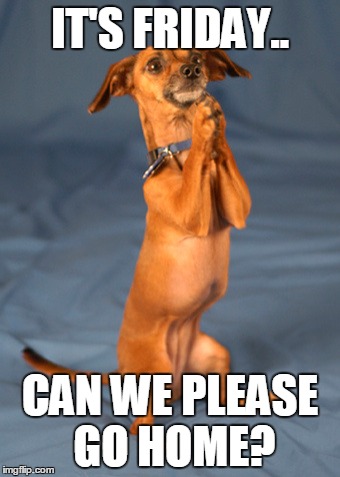 Friday Boss Begging | IT'S FRIDAY.. CAN WE PLEASE GO HOME? | image tagged in friday,home,boss,begging | made w/ Imgflip meme maker