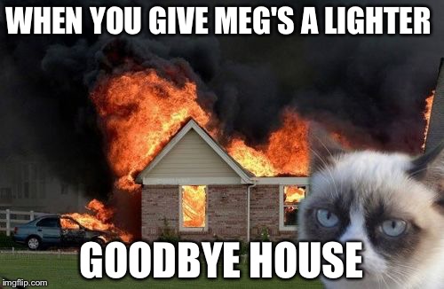 Burn Kitty | WHEN YOU GIVE MEG'S A LIGHTER; GOODBYE HOUSE | image tagged in memes,burn kitty,grumpy cat | made w/ Imgflip meme maker