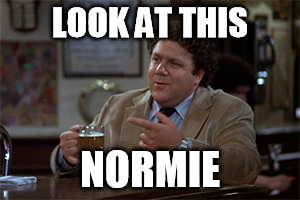 LOOK AT THIS; NORMIE | image tagged in normie | made w/ Imgflip meme maker