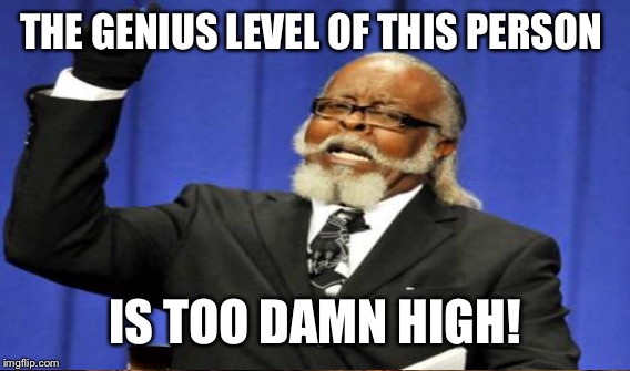 THE GENIUS LEVEL OF THIS PERSON IS TOO DAMN HIGH! | made w/ Imgflip meme maker