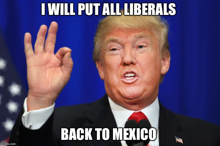 I WILL PUT ALL LIBERALS BACK TO MEXICO | made w/ Imgflip meme maker