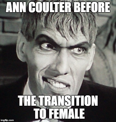 ANN COULTER BEFORE; THE TRANSITION TO FEMALE | image tagged in ann coulter | made w/ Imgflip meme maker