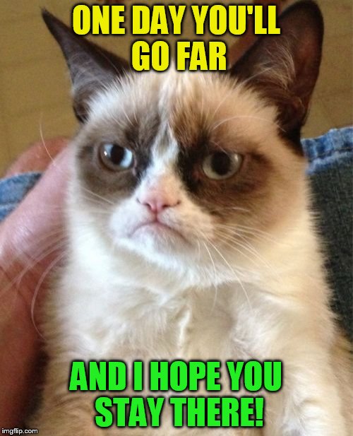 Grumpy Cat Meme | ONE DAY YOU'LL GO FAR AND I HOPE YOU STAY THERE! | image tagged in memes,grumpy cat | made w/ Imgflip meme maker