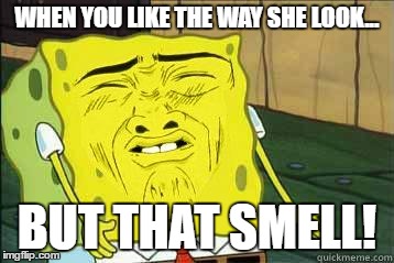 Sponge bob | WHEN YOU LIKE THE WAY SHE LOOK... BUT THAT SMELL! | image tagged in sponge bob | made w/ Imgflip meme maker