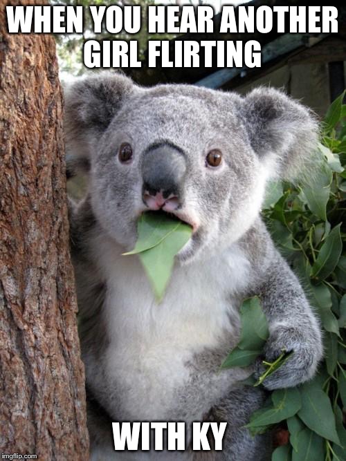 Surprised Koala Meme | WHEN YOU HEAR ANOTHER GIRL FLIRTING; WITH KY | image tagged in memes,surprised koala | made w/ Imgflip meme maker