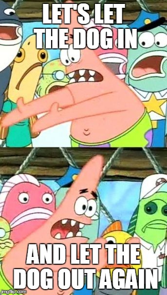 Put It Somewhere Else Patrick Meme | LET'S LET THE DOG IN AND LET THE DOG OUT AGAIN | image tagged in memes,put it somewhere else patrick | made w/ Imgflip meme maker