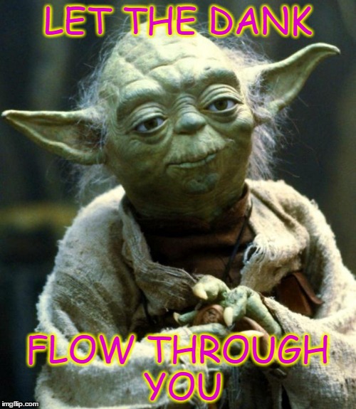 Star Wars Yoda Meme | LET THE DANK FLOW THROUGH YOU | image tagged in memes,star wars yoda | made w/ Imgflip meme maker