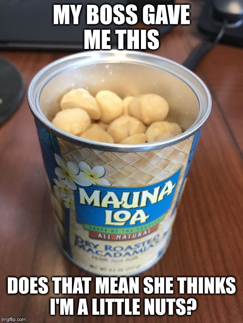 Ahh nuts | MY BOSS GAVE ME THIS; DOES THAT MEAN SHE THINKS I'M A LITTLE NUTS? | image tagged in nuts,funny | made w/ Imgflip meme maker