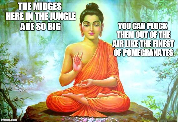 THE MIDGES HERE IN THE JUNGLE ARE SO BIG YOU CAN PLUCK THEM OUT OF THE AIR LIKE THE FINEST OF POMEGRANATES | made w/ Imgflip meme maker
