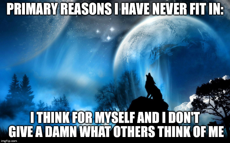 breaking molds | PRIMARY REASONS I HAVE NEVER FIT IN:; I THINK FOR MYSELF AND I DON'T GIVE A DAMN WHAT OTHERS THINK OF ME | image tagged in fitting in | made w/ Imgflip meme maker
