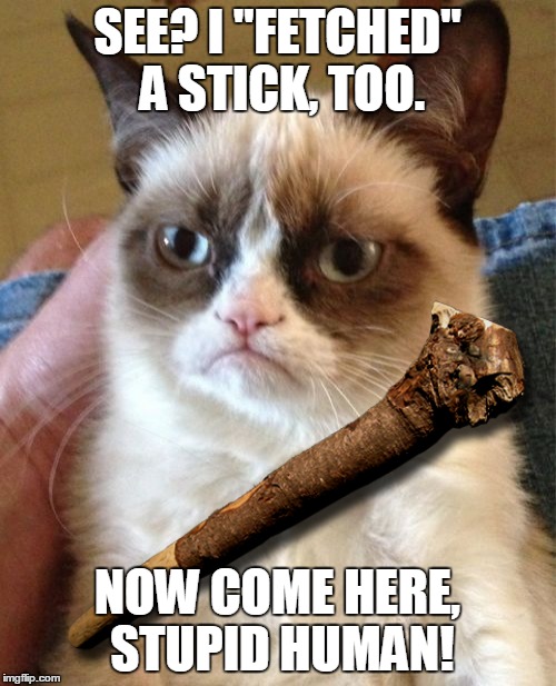 SEE? I "FETCHED" A STICK, TOO. NOW COME HERE, STUPID HUMAN! | made w/ Imgflip meme maker