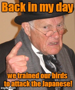 Back In My Day Meme | Back in my day we trained our birds to attack the Japanese! | image tagged in memes,back in my day | made w/ Imgflip meme maker