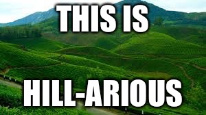 Hills | THIS IS; HILL-ARIOUS | image tagged in hills | made w/ Imgflip meme maker