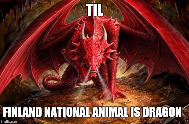 dragon | TIL; FINLAND NATIONAL ANIMAL IS DRAGON | image tagged in dragon | made w/ Imgflip meme maker