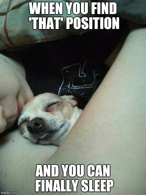 Comfy Pupper | WHEN YOU FIND 'THAT' POSITION; AND YOU CAN FINALLY SLEEP | image tagged in comfy pupper | made w/ Imgflip meme maker