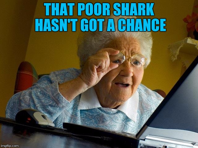 Grandma Finds The Internet Meme | THAT POOR SHARK HASN'T GOT A CHANCE | image tagged in memes,grandma finds the internet | made w/ Imgflip meme maker