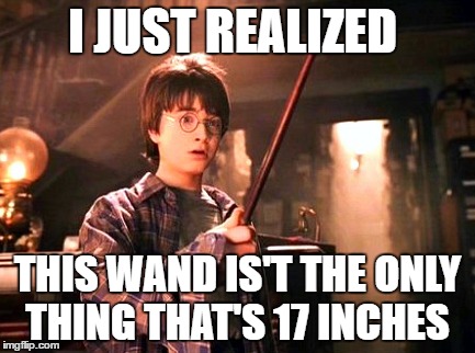 I JUST REALIZED; THIS WAND IS'T THE ONLY THING THAT'S 17 INCHES | image tagged in only thing | made w/ Imgflip meme maker