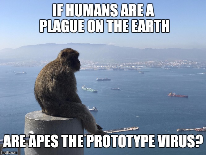 Monkey pondering humans | IF HUMANS ARE A PLAGUE ON THE EARTH; ARE APES THE PROTOTYPE VIRUS? | image tagged in pondering,monkey,philosoraptor,humans,deep thoughts | made w/ Imgflip meme maker
