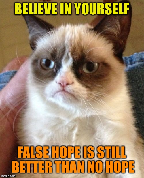 Grumpy Cat Meme | BELIEVE IN YOURSELF FALSE HOPE IS STILL BETTER THAN NO HOPE | image tagged in memes,grumpy cat | made w/ Imgflip meme maker