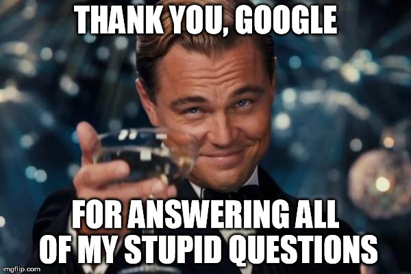 Leonardo Dicaprio Cheers | THANK YOU, GOOGLE; FOR ANSWERING ALL OF MY STUPID QUESTIONS | image tagged in memes,leonardo dicaprio cheers | made w/ Imgflip meme maker