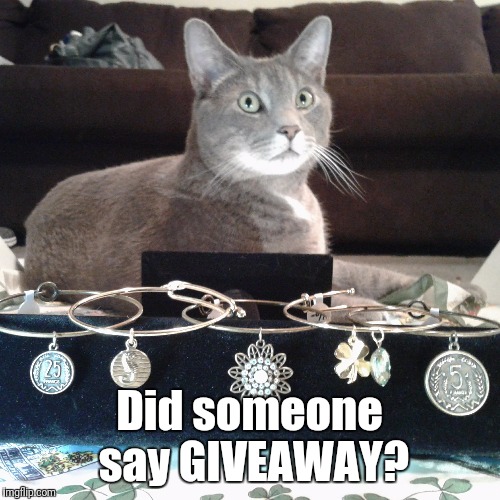 Did someone say GIVEAWAY? | made w/ Imgflip meme maker