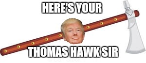 HERE'S YOUR THOMAS HAWK SIR | made w/ Imgflip meme maker