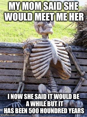 Waiting Skeleton | MY MOM SAID SHE WOULD MEET ME HER; I NOW SHE SAID IT WOULD
BE  A WHILE BUT IT HAS BEEN 500 HOUNDRED YEARS | image tagged in memes,waiting skeleton | made w/ Imgflip meme maker