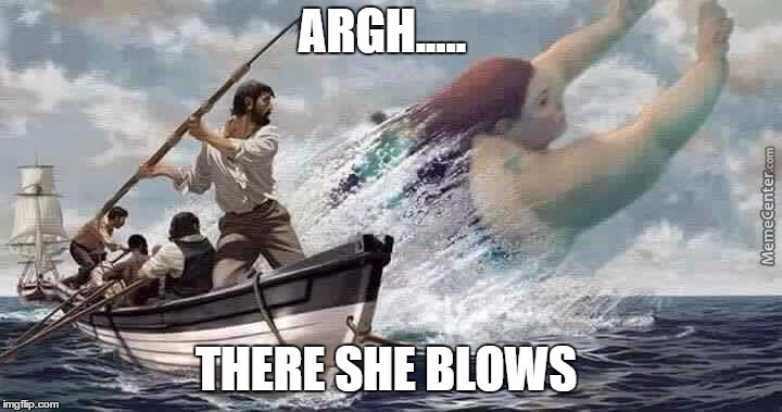 ARGH..... THERE SHE BLOWS | image tagged in fat lady,land whale,there she blows,sjw,ugly,sailors | made w/ Imgflip meme maker