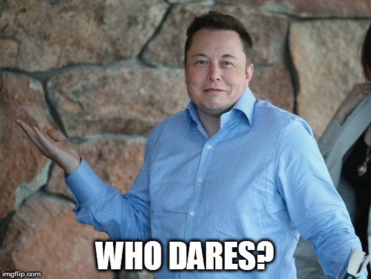 Elon Musk | WHO DARES? | image tagged in elon musk | made w/ Imgflip meme maker