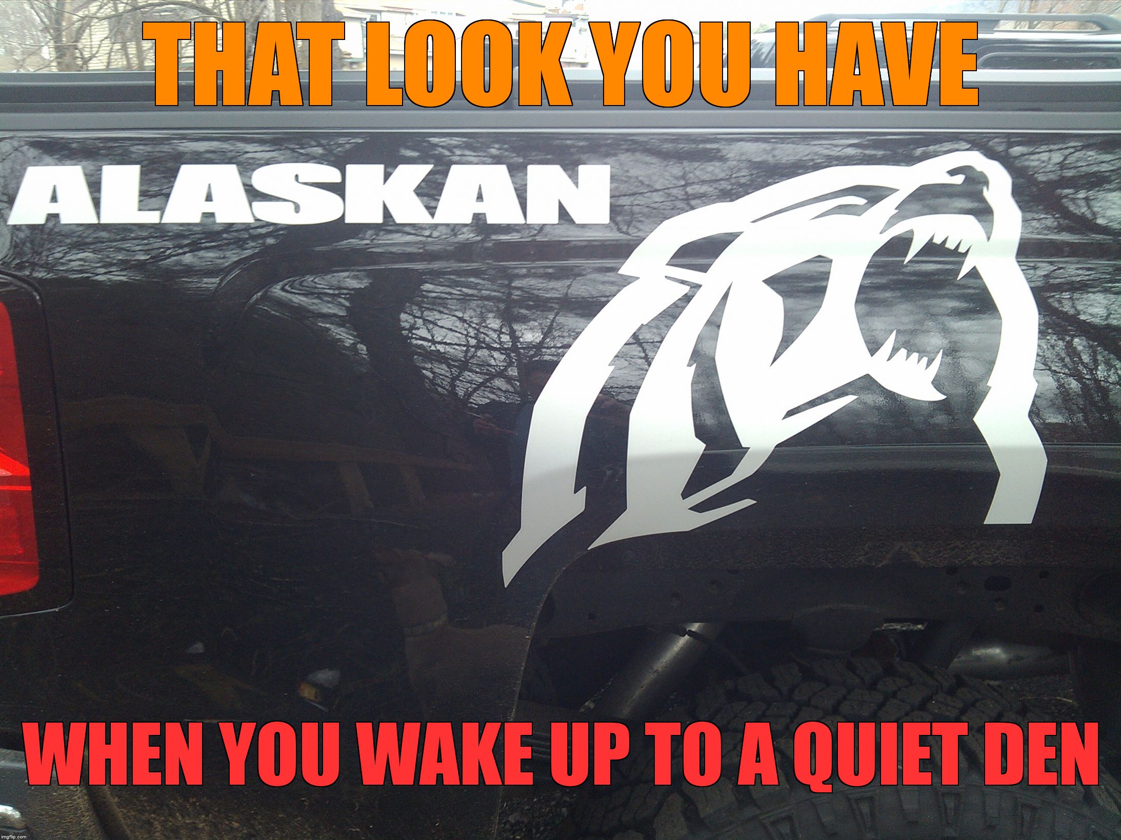 THAT LOOK YOU HAVE; WHEN YOU WAKE UP TO A QUIET DEN | image tagged in always ruining a good time | made w/ Imgflip meme maker