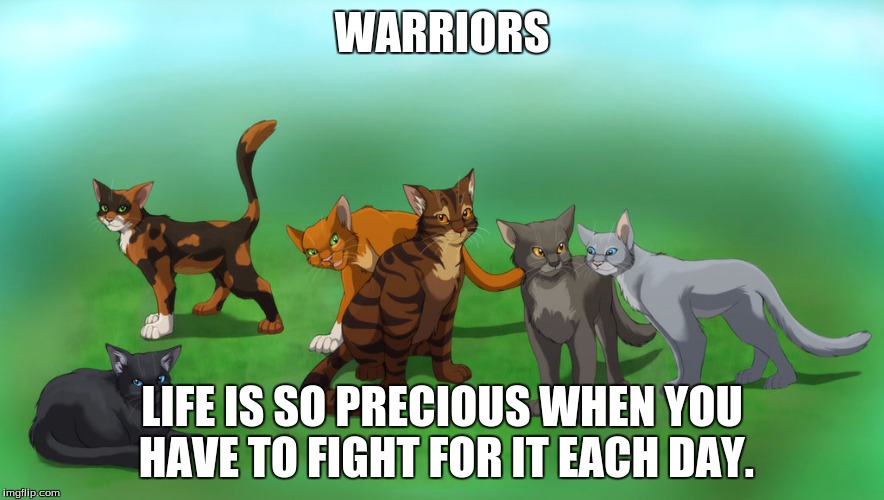 Warriors | WARRIORS; LIFE IS SO PRECIOUS WHEN YOU HAVE TO FIGHT FOR IT EACH DAY. | image tagged in warriors | made w/ Imgflip meme maker