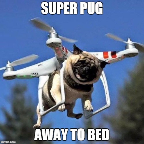 Flying Pug | SUPER PUG; AWAY TO BED | image tagged in flying pug | made w/ Imgflip meme maker