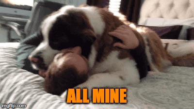 Overly Attached Doggo | ALL MINE | image tagged in all mine | made w/ Imgflip meme maker