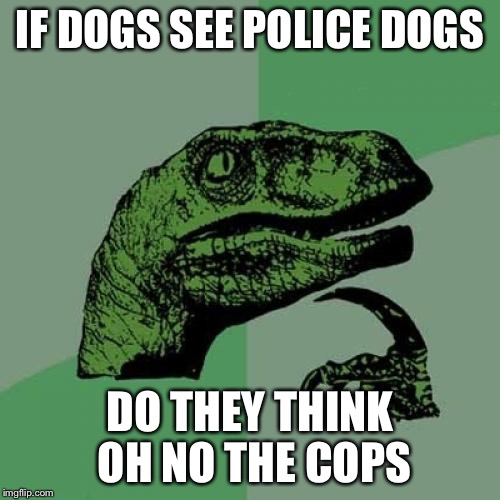 Philosoraptor Meme | IF DOGS SEE POLICE DOGS; DO THEY THINK OH NO THE COPS | image tagged in memes,philosoraptor | made w/ Imgflip meme maker