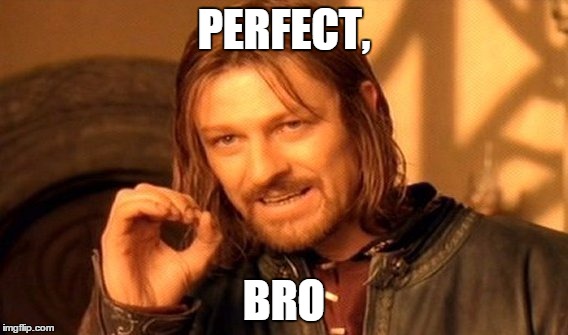 One Does Not Simply | PERFECT, BRO | image tagged in memes,one does not simply | made w/ Imgflip meme maker