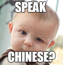 Skeptical Baby | SPEAK; CHINESE? | image tagged in memes,skeptical baby | made w/ Imgflip meme maker