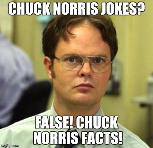 False | CHUCK NORRIS JOKES? FALSE! CHUCK NORRIS FACTS! | image tagged in false | made w/ Imgflip meme maker