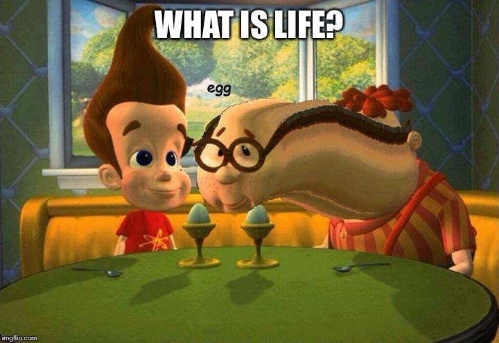 WHAT IS LIFE? | image tagged in eggs | made w/ Imgflip meme maker