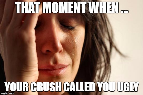 First World Problems | THAT MOMENT WHEN ... YOUR CRUSH CALLED YOU UGLY | image tagged in memes,first world problems | made w/ Imgflip meme maker