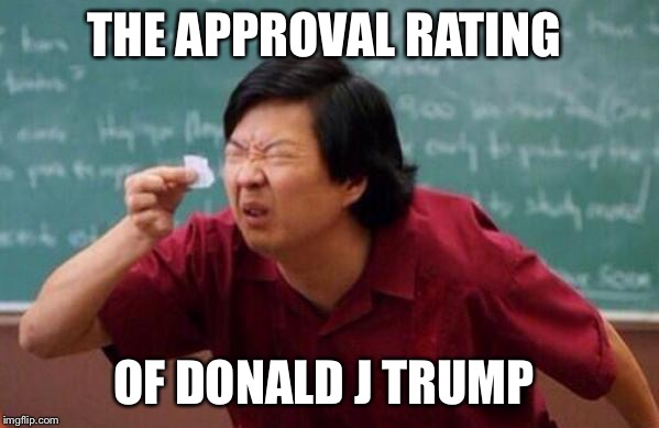 Mr Chow's List | THE APPROVAL RATING; OF DONALD J TRUMP | image tagged in mr chow's list | made w/ Imgflip meme maker