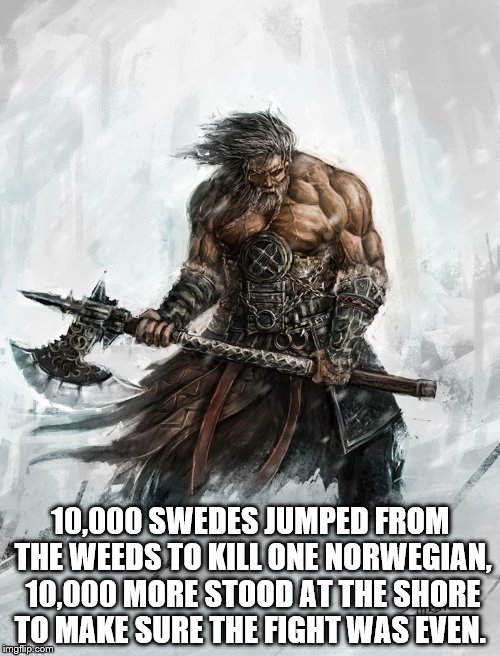 10,000 SWEDES JUMPED FROM THE WEEDS TO KILL ONE NORWEGIAN, 10,000 MORE STOOD AT THE SHORE TO MAKE SURE THE FIGHT WAS EVEN. | image tagged in viking | made w/ Imgflip meme maker
