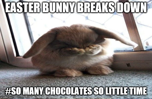 EASTER BUNNY BREAKS DOWN; #SO MANY CHOCOLATES SO LITTLE TIME | image tagged in happy easter | made w/ Imgflip meme maker