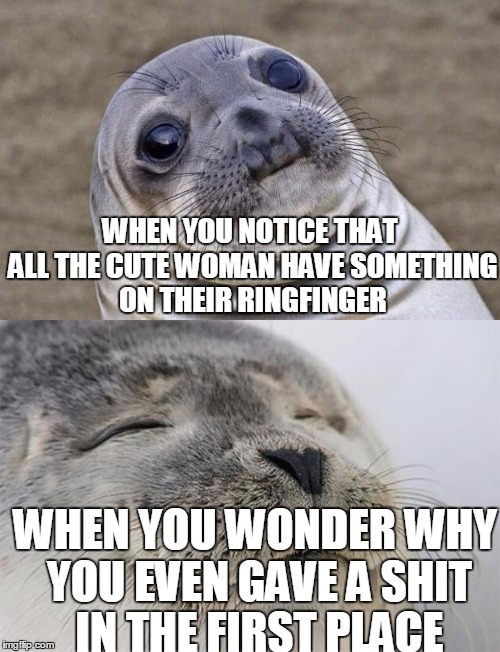 Told You Being A Forever Alone Has Its Upsides | WHEN YOU NOTICE THAT ALL THE CUTE WOMAN HAVE SOMETHING ON THEIR RINGFINGER; WHEN YOU WONDER WHY YOU EVEN GAVE A SHIT IN THE FIRST PLACE | image tagged in awkward moment sealion,satisfied seal,memes,forever alone happy | made w/ Imgflip meme maker