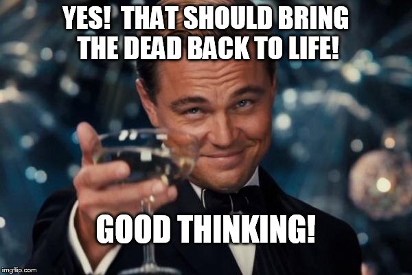 Leonardo Dicaprio Cheers Meme | YES!  THAT SHOULD BRING THE DEAD BACK TO LIFE! GOOD THINKING! | image tagged in memes,leonardo dicaprio cheers | made w/ Imgflip meme maker