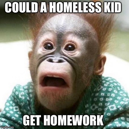 Shocked Monkey | COULD A HOMELESS KID; GET HOMEWORK | image tagged in shocked monkey | made w/ Imgflip meme maker