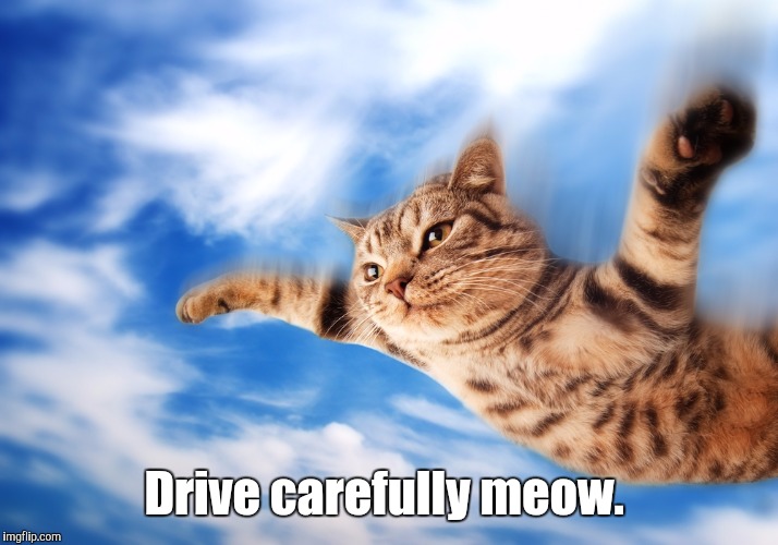 D3.jpg | Drive carefully meow. | image tagged in d3jpg | made w/ Imgflip meme maker