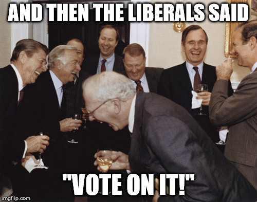 AND THEN THE LIBERALS SAID; "VOTE ON IT!" | image tagged in laughing | made w/ Imgflip meme maker